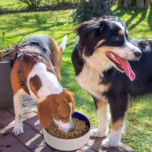 Ethical Spot Keramik-Napf aus Steingut, für mittelgroße und große Hunde, klassisch, robust, rutschfest, Keramiknapf für Futter und Wasser, 24,1 cm Durchmesser