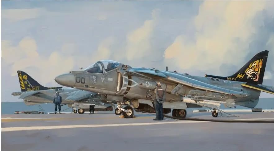 Model Kits D1003 1/48 AV-8B Harrier II Plus Tiger Camouflage Attack Aircraft Assembly Model Kit