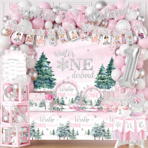 Winter Onederland Decorations 1st Birthday Girl, Winter...