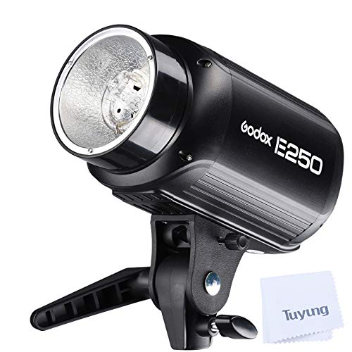 Godox E250 Mini Photography Studio Strobe Photo Flash with 