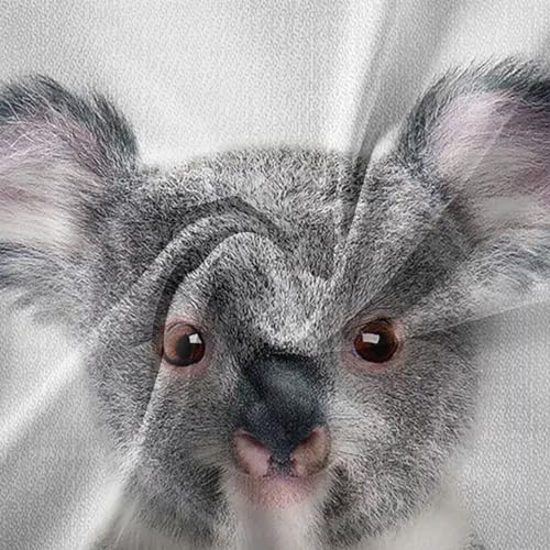 Housse de Couette Koala Peau Sensible Parure Microfibre Sans Repassage
