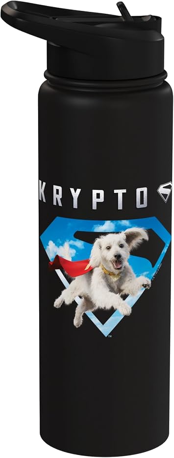 Superman 2025 Movie Krypto Sky Shield Stainless Steel Insulated Water Bottle