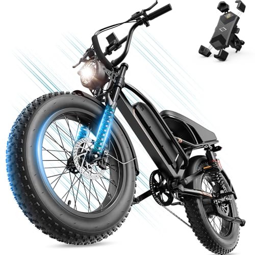SYFTLLSJY 2000W Peak 20' Off Road Electric Bike...