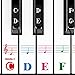 Piano Stickers for 88/61/54/49/37 Key, Piano Keyboard Stickers Full Set for White and Black Keys, Color Bigger Letter-Thinner Transparent Material-Easier Removable with Cleaning Cloth