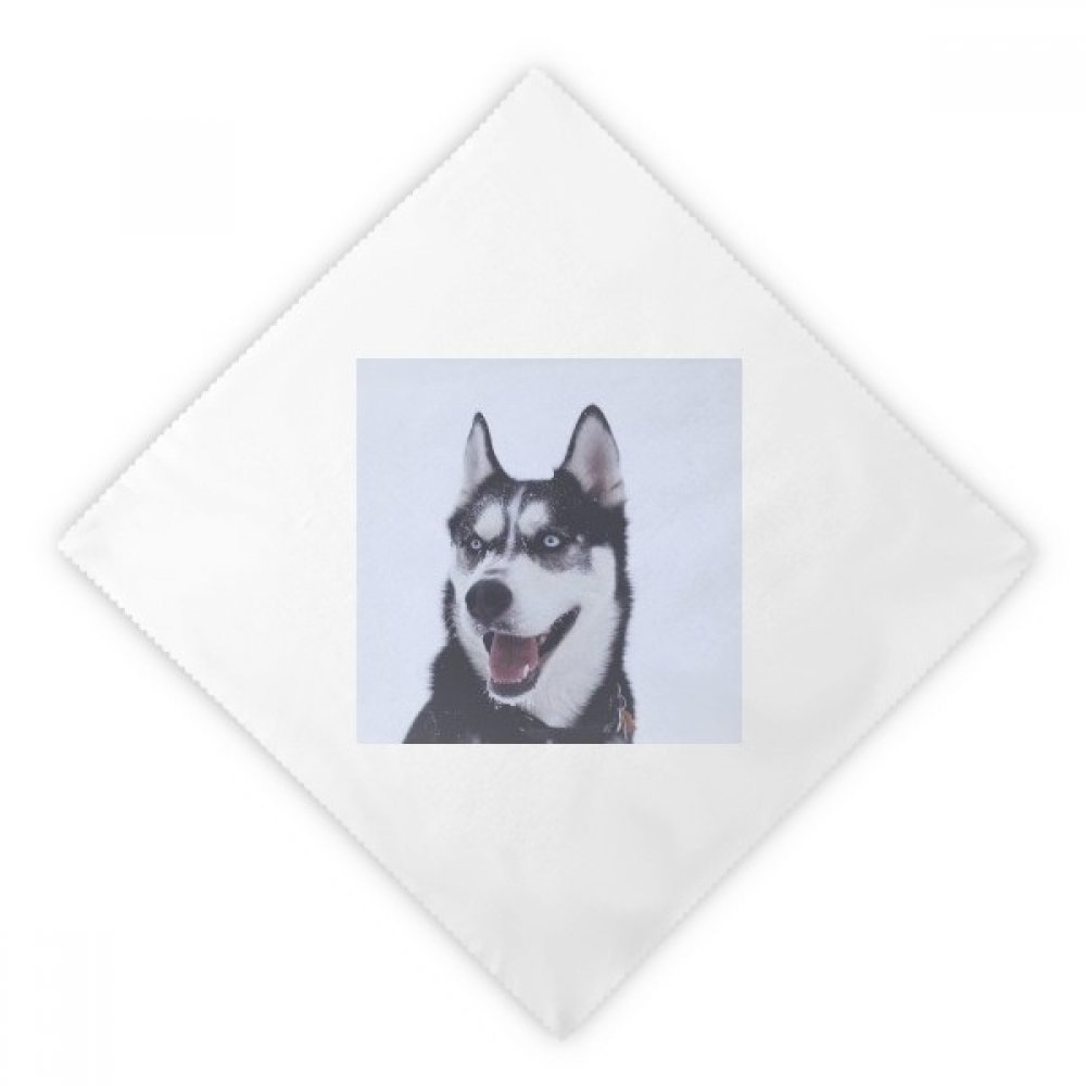 Serviettes de table Husky réutilisables et lavables grand format 47 cm pour dîner