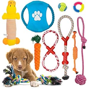 Fur & Bone Chew Dog Toys for Small, Medium & Large Dogs – Teething & Training Washable Cotton Safe Dog Toy Gift Set…