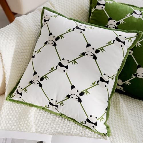 Housse de coussin velours 45x45 cm contre canapé terne
