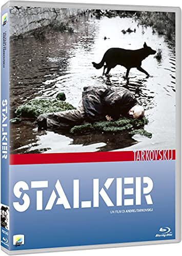 Film Stalker