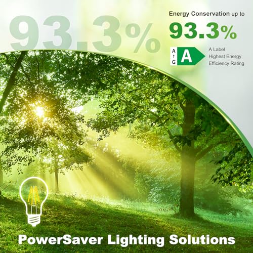 DiCUNO Edison Light E27 Edison Screw Bulb 4W (60W Equivalent), Clear Filament Bulb A60, Energy Efficient A Class LED, 2700K - Image 2