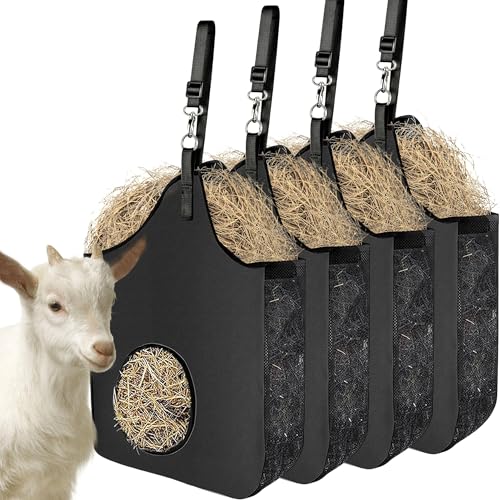 How often do sanctuary animals eat hay day