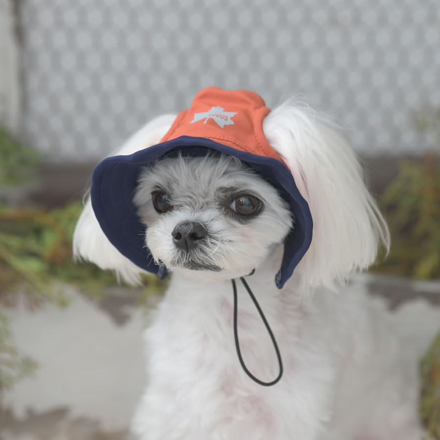 Amazon | LOGOS ロゴス 犬用 犬 帽子 UV加工 アウトドア ハット | 熱中