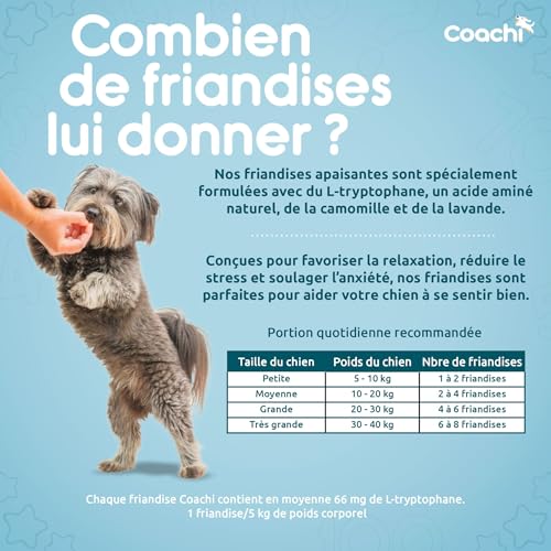 Coachi Friandises Naturelles et Calmantes - Friandises sans Céréales, Saines et Hypoallergéniques. Soulage l’anxiété et Calme Les Chiens. Convient à Les Chiens et Chiots dès 8 semaines (Dinde, 100g) – Image 6