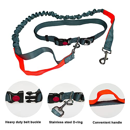 QitinDasen Grau Freihändige Hundeleine, Verstellbarer Hüftgurt und Dual Griffen Dehnbare Bungee-Leine, Jogging Hundeleine mit Reflektierenden Nähten (Orange Griff)