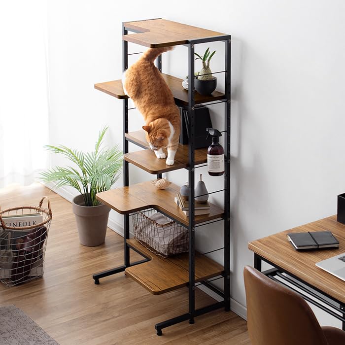 Amazon.co.jp: エア・リゾーム 収納棚 リビング 収納 ラック キャット