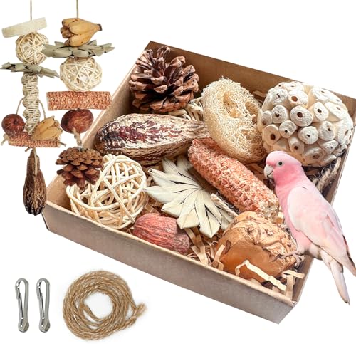Conure Toys, Tyotrbs Cockatiel Toys Foraging Toys for Birds Budgie Shredder Hanging Set Cockatiel ChewToys Parrot Climbing CageToy Lovebird Cage Accessories for Small Birds