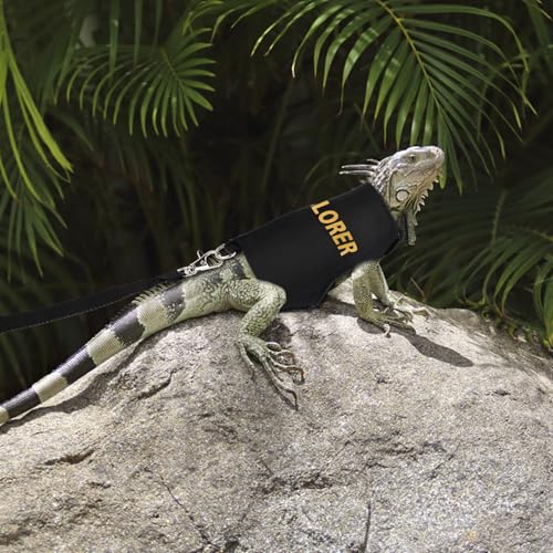 Image of PEUTIER Bearded Dragon Leash and Harness Set, Escape Prevention Bearded Dragon Accessories Adjustable Lizard Reptiles Harness for Chameleon Small Pet Amphibian Outdoor Safe Walk, Medium, black