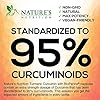 Turmeric-Curcumin-with-BioPerine-95-Curcuminoids-1950mg-with-Black-Pepper-for-Best-Absorption-Made-in-USA-Natural-Immune-Support-Turmeric-Supplement-by-Natures-Nutrition-120-Capsules Turmeric Curcumin with BioPerine 95% Standardized Curcuminoids 1950mg - Black Pepper for Max Absorption, Joint Support, Nature's Tumeric Supplement, Vegan Herbal Extract, Non-GMO, 120 Capsules