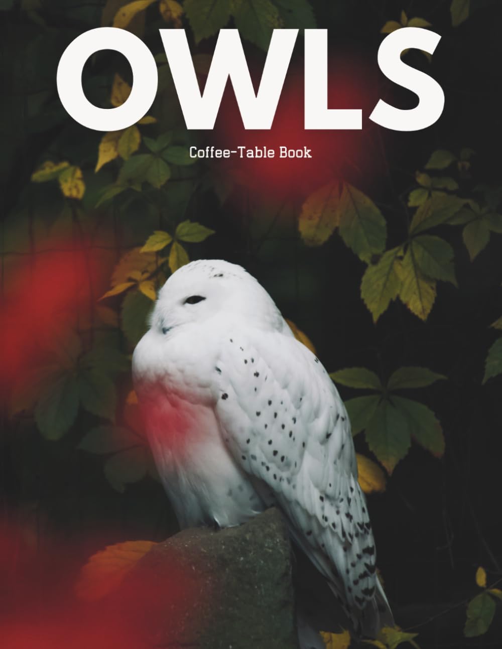 OWLS Coffee Table Book: Portraits of Snowy, Barn & Great Horned Owls & Owlets in Wild Forests and Night Scenes – Perfect Picture Book for Bird Lovers and Nature Enthusiasts