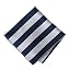 Navy Blue and Silver