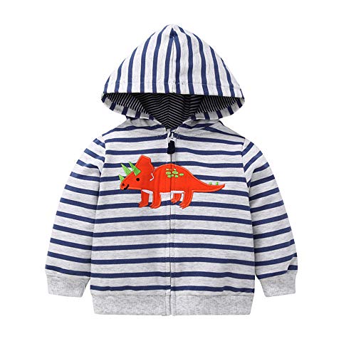 Baby Clothes,Toddler Baby Boys Dinosaur Long Sleeve Tops Hoodie Zip Warm Outfits Coat Clothes Blue Girls Outfits&Set for Baby Easter Gifts