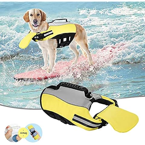 Schwimmweste für kleine Hunde Cover