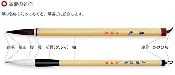 Amazon | 広島筆 大筆 五号墨竜 G-1 書初め5号 | 書道筆