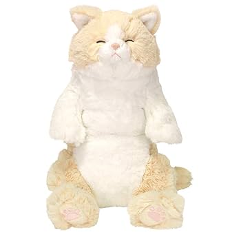 ひざねこ お座り ひざねこおすわりキッズ！新登場 | 鎌倉ねこサロンのブログ