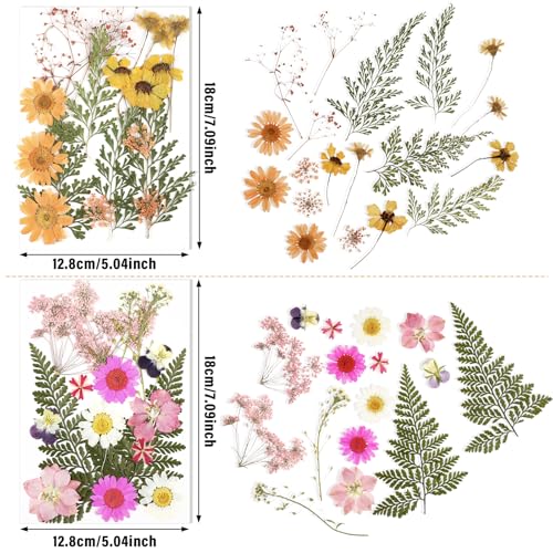 Nuanchu Pressed Flowers for Crafts Resin Dried Flower Bulk White Natural Dried Wildflowers Daisy with Tweezer for Resin Mold Candles Cake DIY Christmas Craft Card Making Wedding Scrapbooking Supplies