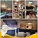 RV Trailer Landscape T10 921 194 922 912 168 12V Car Backup Reverse LED Lights Bulbs Width Lamp, Warm White 2700k, LED Replacement Camper Boat Trunk Map License Interior Ceiling Dome Light Bulbs,5Pack
