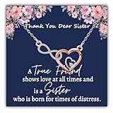 SEIRAA JW パイオニアシスターズ ネックレス JW パイオニアシスター ギフト エホバの証人 洗礼ジュエリー エホバの証人 ありがとうギフト, 1, ステンレス鋼, 宝石なし