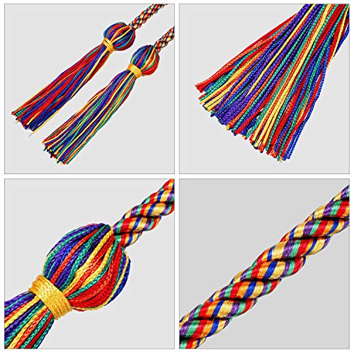 Image of TecUnite Graduation Cords Honor 2026 Polyester Yarn Decorative 67 inch Long Garland Twist Ties with Tassels for Bachelor Gown Graduation(Rainbow)
