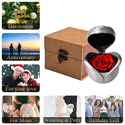 Dewanxin Rosa Eterna Natural,Flores Preservadas,Rosa Preservada,Flores Naturales,Caja Regalo,Regalos Originales para Mujer Madre Pareja Cumpleanos Aniversario(Rojo)