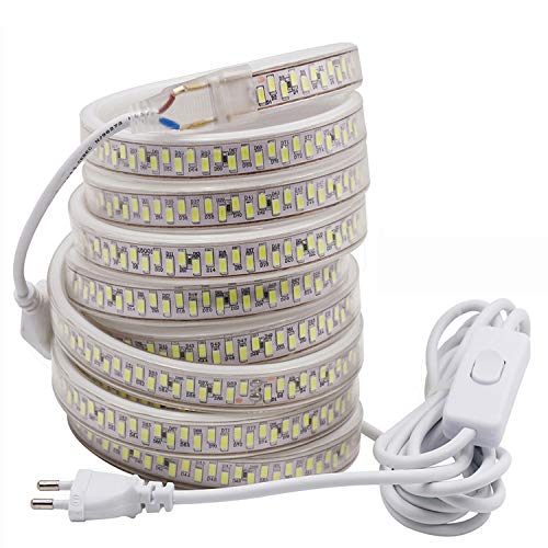 FOLGEMIR Striscia LED con interruttore 3 metro - Bianco Freddo, 220V 230V LED strip, 5630 SMD 180 Leds/m, illuminazione molto luminosa, IP65 impermeabile