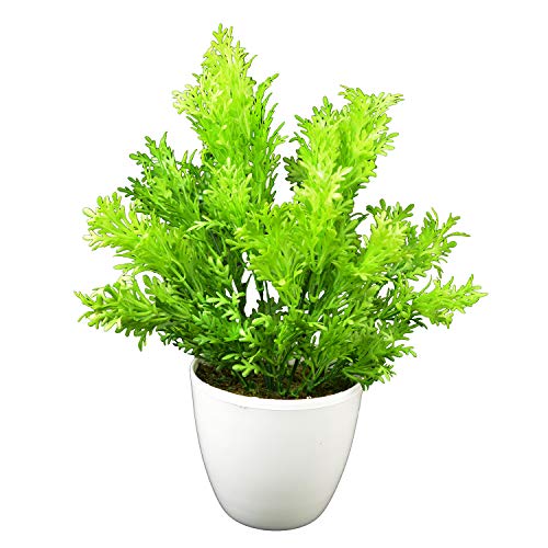 Image of fancymart Artificial Plants Parsley Leaves in Round Pot (28 cm