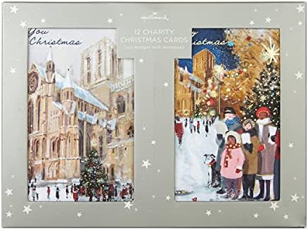 Hallmark Charity Christmas Cards - Pack of 12 in 2 York Minster Scenic Designs