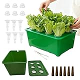 【自宅で簡単水耕栽培】水耕栽培キット 6穴 無土壌栽培ボックス 家庭菜園 室内/屋外兼用 栽培セット 初心者向け 野菜/果物/ハーブ/花 栄養豊富 新鮮収穫 簡単設置 耐久性素材 (グリーンセット)