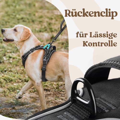 rabbitgoo Hundegeschirr Grosse Hunde, Verstellbare Geschirr Hund ohne Zug & Würgen, Anti Zug Hundegeschirr mit Griff, weich Gepolsterte Reflektierende Brustgeschirr, Schwarz L