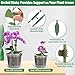 Tetutor 12 Pack Plastic Orchid Pots with Holes, 4, 5, 6 Inch Clear Orchid Pots for Repotting with Saucers Drainage and Plant Stakes, Large Small Breathable Orchids Planter Plant Pot