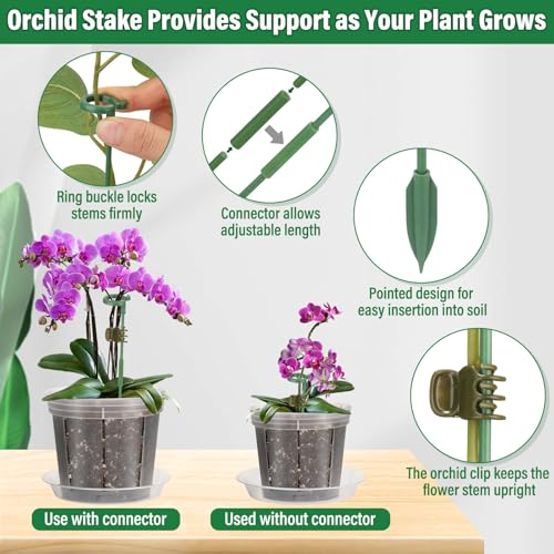 Tetutor 12 Pack Plastic Orchid Pots with Holes, 4, 5, 6 Inch Clear Orchid Pots for Repotting with Saucers Drainage and Plant Stakes, Large Small Breathable Orchids Planter Plant Pot by Tetutor - Image 5