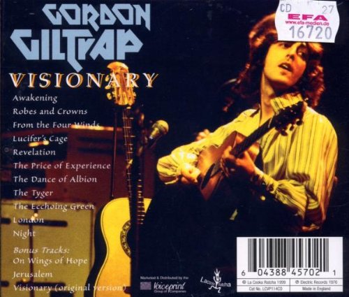 Visionary