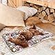 Gemütliche beruhigende Katzendecke, Katzendecken für Hauskatzen, Waschbare ultraweiche beruhigende Decke für Katzen und Hunde, Niedliche Pfotenabdruck-Decke