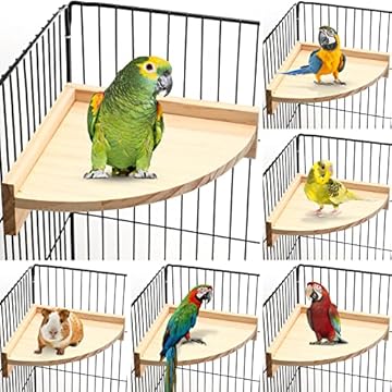 Top 5 Product Review Insights You Didn’t Know You Needed 2 corner bird cage for limited space