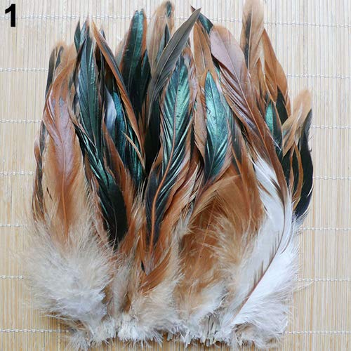 Qingsb Lot de 50 plumes naturelles pour décoration de vêtements 13 à 20 cm, naturel, 50 Pcs Cover
