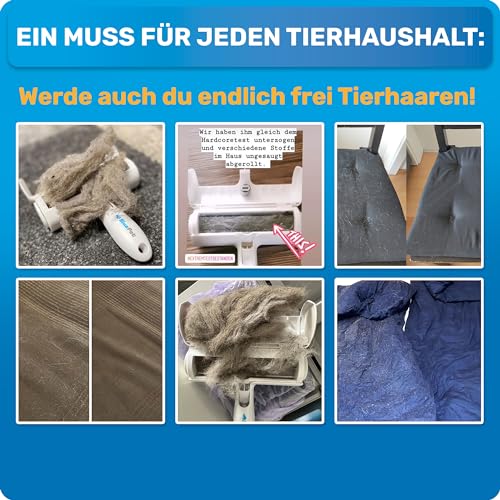 BluePet Tierhaarentferner + Mini Fusselrolle – Wiederverwendbarer Fusselentferner für Tierhaare, Hundehaare & Katzenhaare | Ideal für Kleidung, Polster & Teppiche, Abwaschbarer Katzenhaarentferner