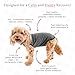 BellyGuard Dog Surgery Recovery Suit, Dog Onesie for Post-Op Care, Recovery Apparel for Female and Male, Surgical Body Cover for Canine Healing Support