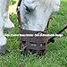 BARN & STABLE Horse Grazing Muzzle for Easy Breathe, Comfortable Muzzle Grazing for Horses with Adjustable Straps, Buckles, Suitable for Precaution of Laminitis