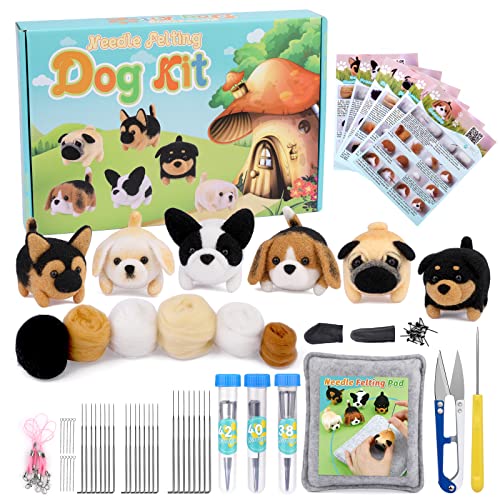 Needle Felt Starter Kit, 6 Pieces Dog Wool Needle Felting Kit, Needles Felting Supplies with...