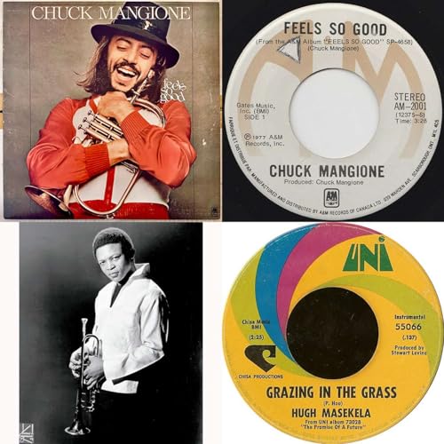 『One Hit Wonders: Chuck Mangione & Hugh Masekela』のカバーアート