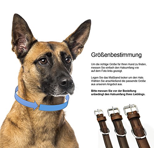 Schnüffelfreunde Halsband für Hunde aus Leder, Hundehalsband für den großen, mittleren und kleinen Hund, Lederhalsband gepolstert, robust (M - 28-36cm, Braun)