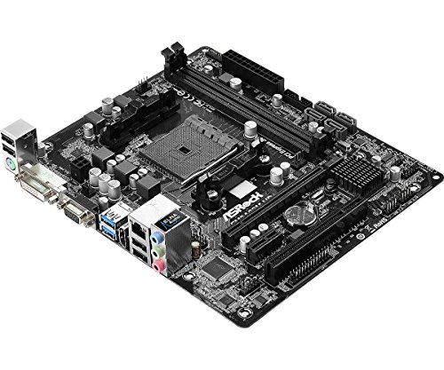 Asrock Fm2A88M-Hd+ Scheda Madre